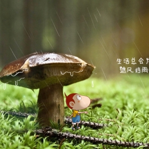 生活总会为你设立遮风挡雨的小站