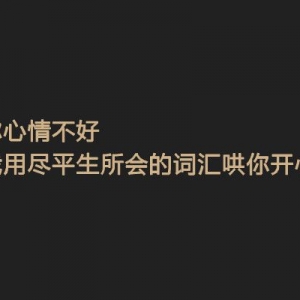 你心情不好，我用尽平生所会的词汇哄你开心