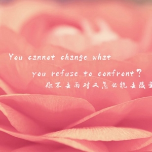 你不去面对又怎么能去改变呢？You cannot change what you refuse to confront? ...