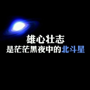 雄心斗志是茫茫黑夜中的北斗星