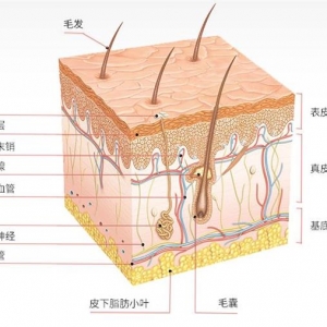 一代宗师悦颜祛斑方，提供中医辨证祛斑新思路