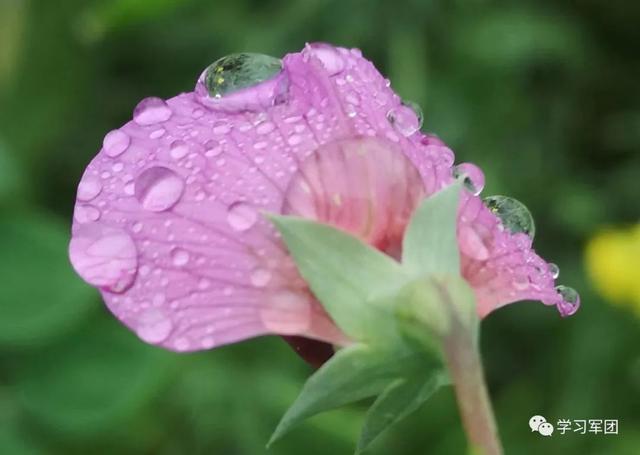 晚间悦读丨人生可贵，三种“碗”不要端