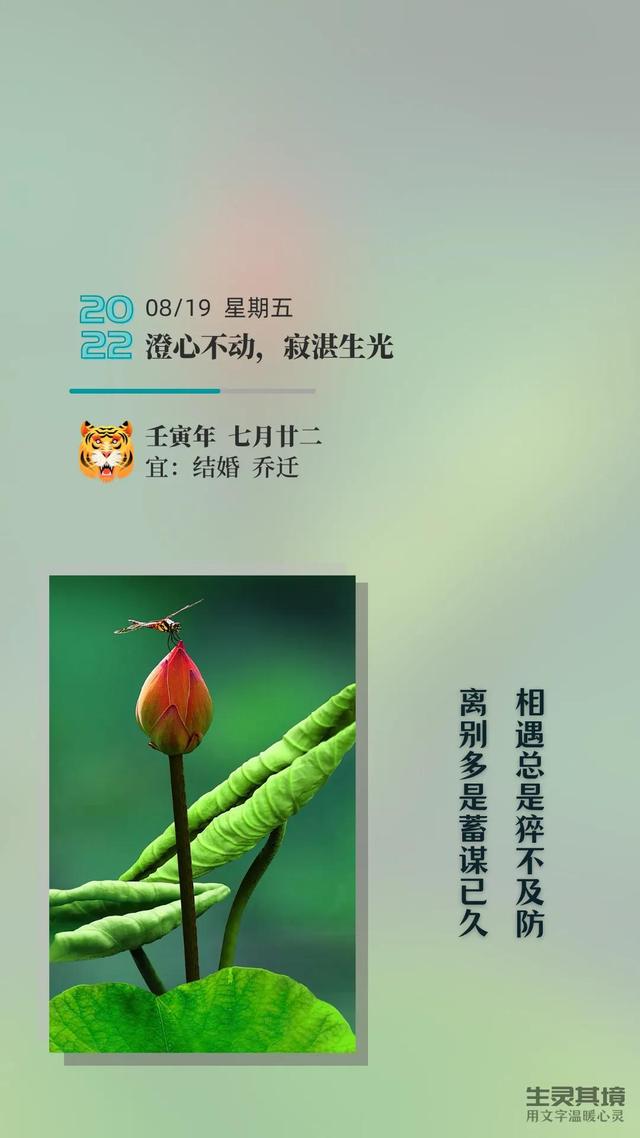 生活没有解药，但解药都在生活里