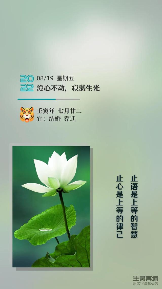 生活没有解药，但解药都在生活里