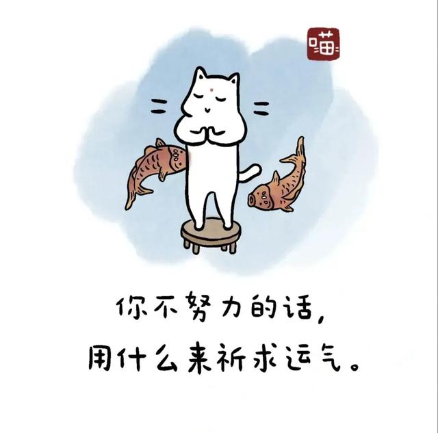 这是生活本该有的样子