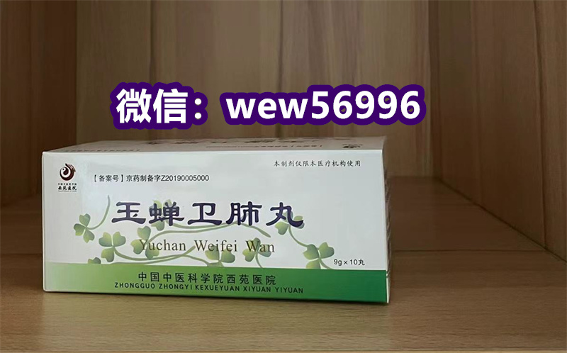 治疗慢性鼻炎，西苑医院玉蝉卫肺丸效果 —北京为你服务代购2024-11-05